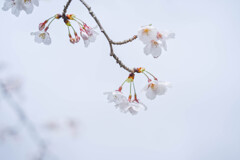 2025/04/14 雨が上がって・・・♡