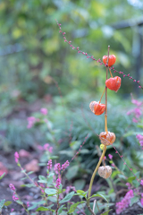 2025/10/08 秋彩・・・♡