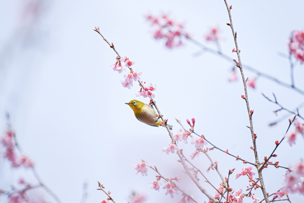 2024/03/28 満たされ笑み・・・♡