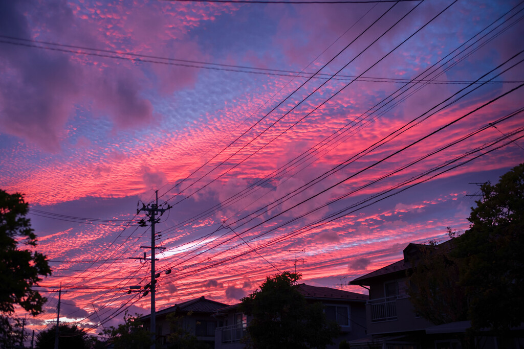 2022/10/11 きょうの夕焼け・・・(^^♪
