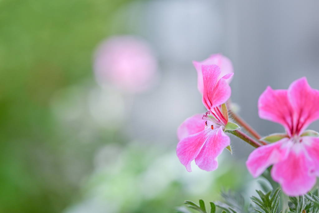 2024/10/24 憧れの・・・♡