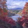 紅葉だより・・・♪♪