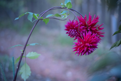 2025/11/04 たわわ・・・♡