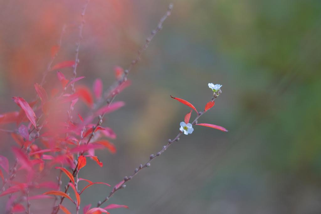 2025/12/02 気ままだけど懸命に・・・♡
