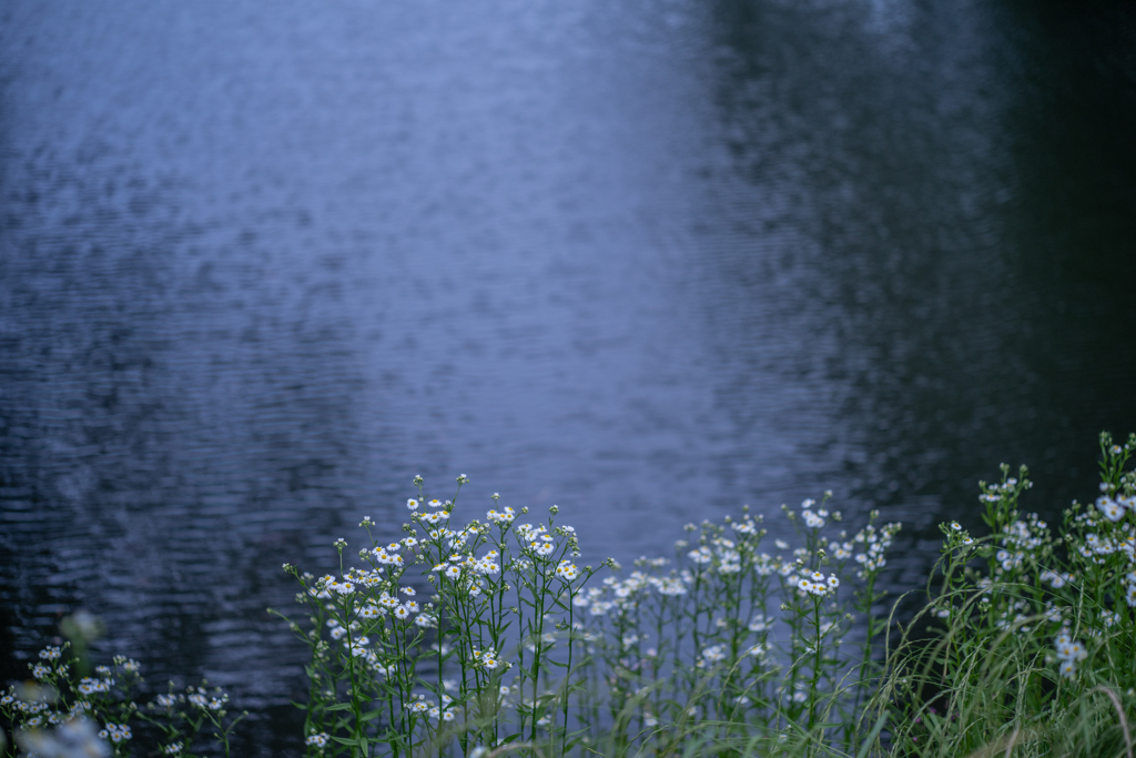 2025/06/07 水辺で・・・♡