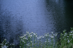 2025/06/07 水辺で・・・♡