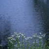 2025/06/07 水辺で・・・♡
