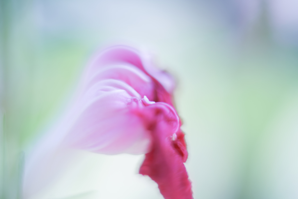 待ちくたびれて・・・♥