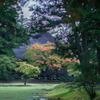 毛越寺・・・＃３
