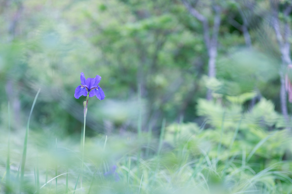 神秘的なひと・・・♥