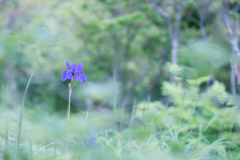 神秘的なひと・・・♥