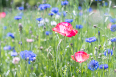 2025/05/19 陽気で優しい・・・♡