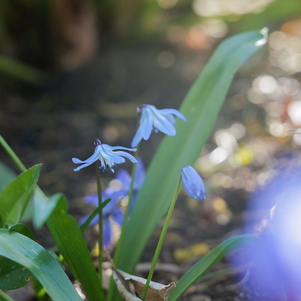 20210420 碧い瞳・・・♡