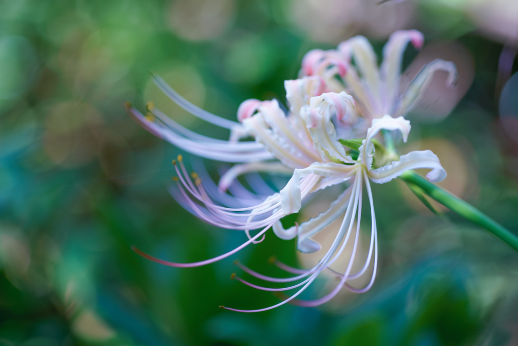 ＊再会・・・♥