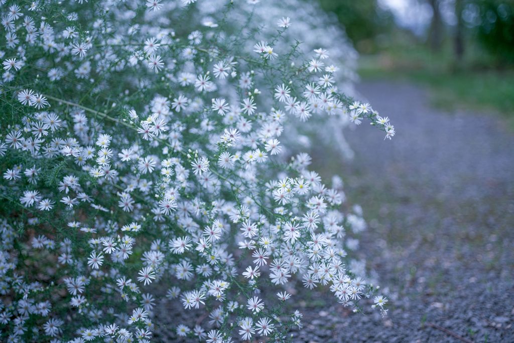 想い出・・・♡