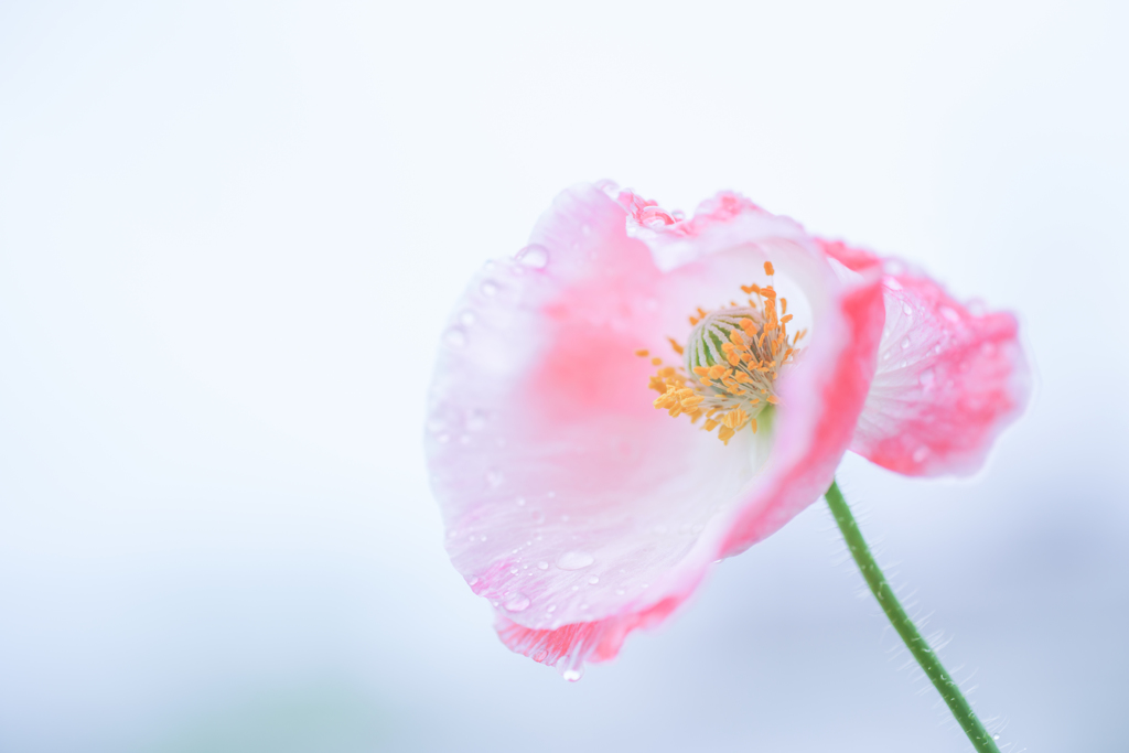 慰め・・・♡