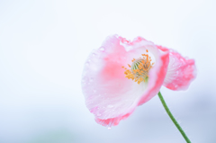 慰め・・・♡