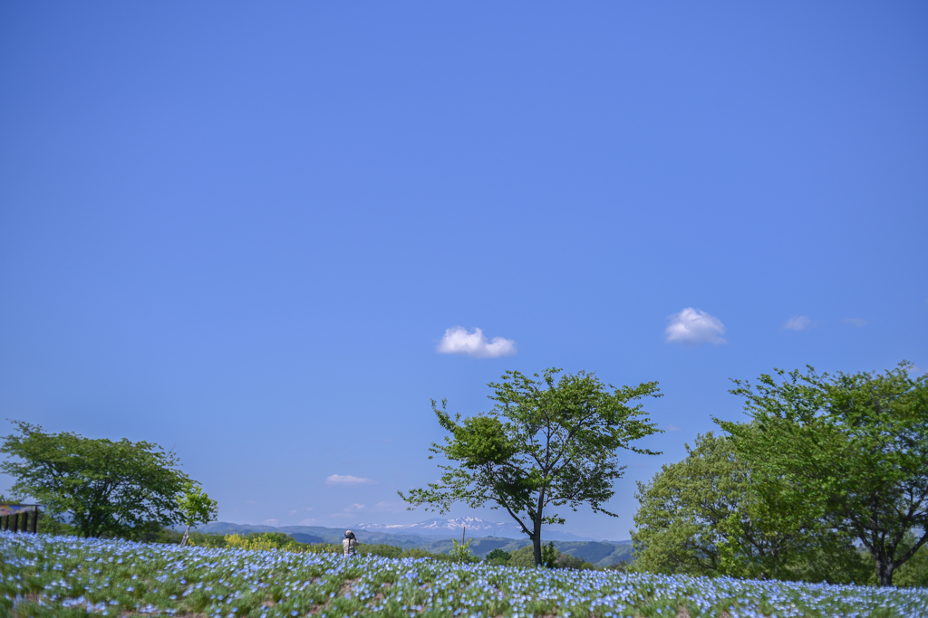 2024/05/02 遠くに栗駒・・・♡