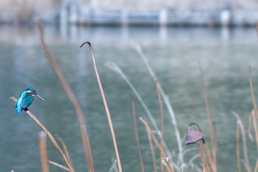 はじめまして・・・♬