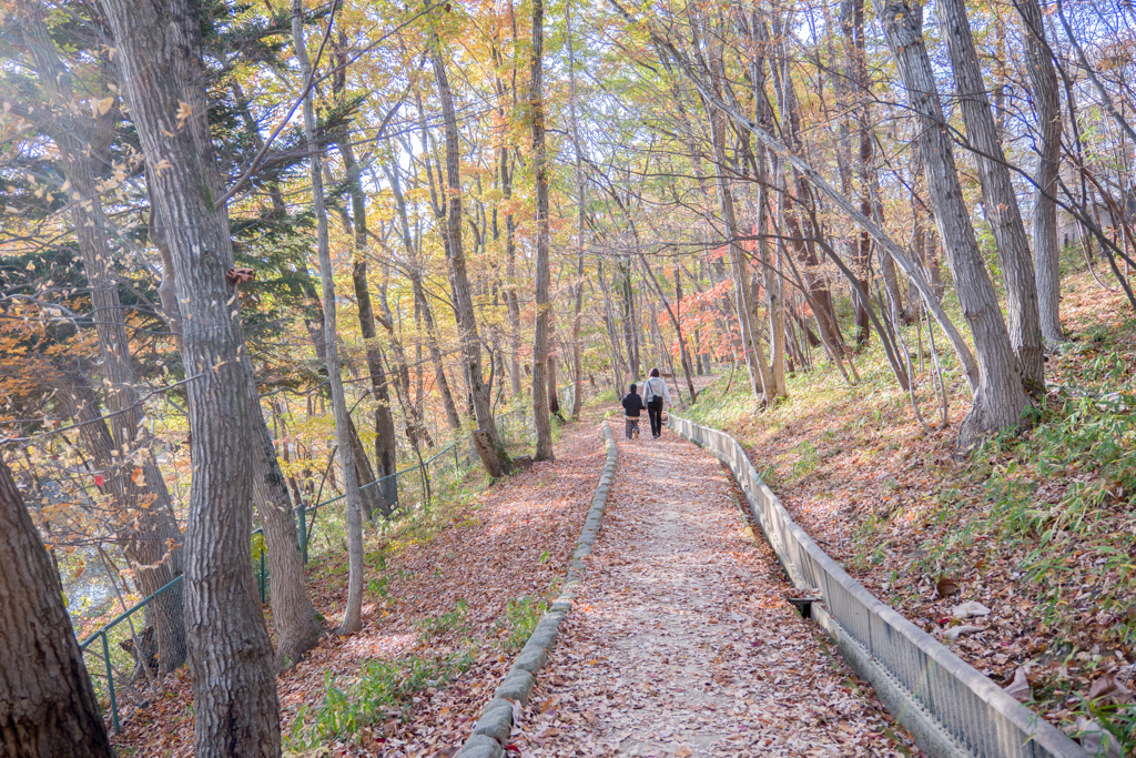 2022/11/12 Autumn colors・・・❤