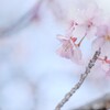 2024/03/22 やっと・・・♡