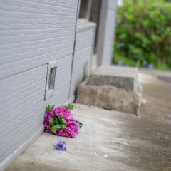 ＊忘れ草・・・♬