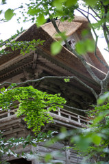 新緑古寺