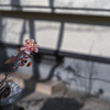 2024/02/17 ずぅっと・・・♡