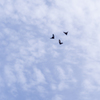 20210831 空へ・・・♡