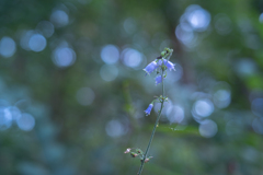 2025/09/22 まだいてくれた・・・♡