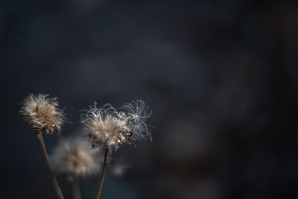 2025/11/14 凝視・・・♥