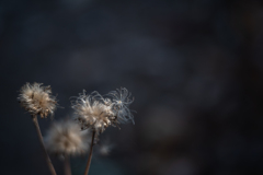 2025/11/14 凝視・・・♥