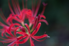 2025/09/23 思案中・・・♥