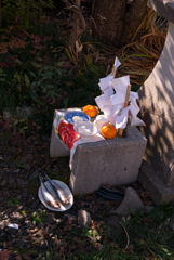 お正月・・・♬