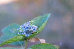 2025/11/14 お多福・・・♡