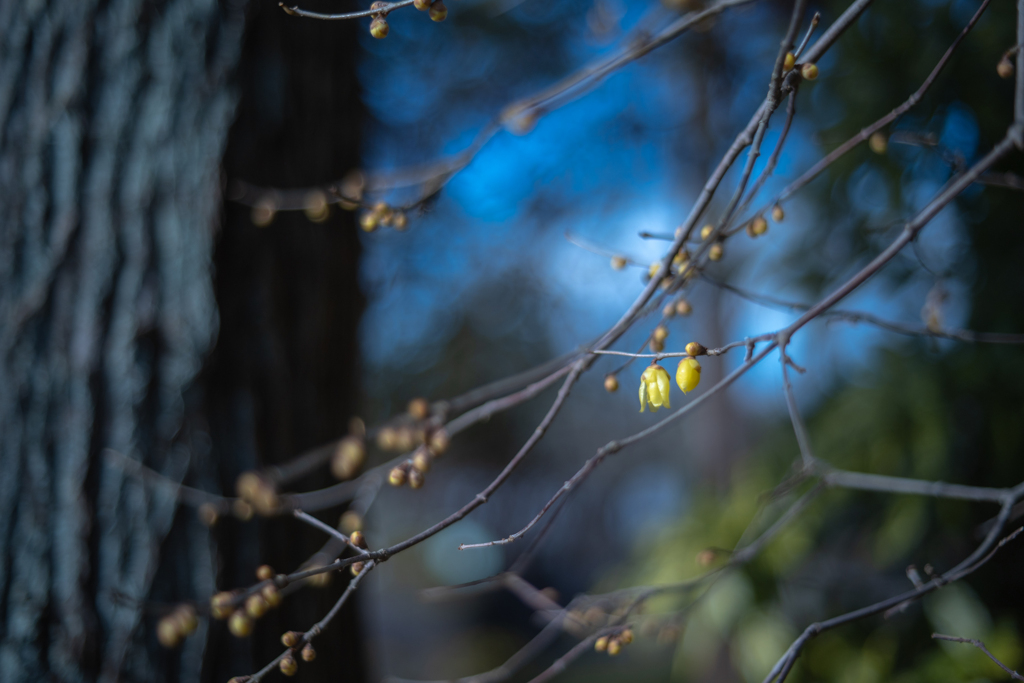 2025/12/22 ほころんでる～♡