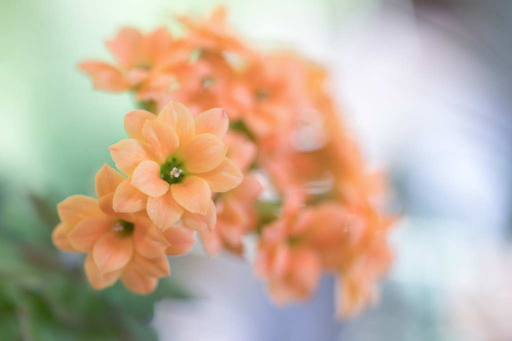 たくさんの小さな思い出・・・♡