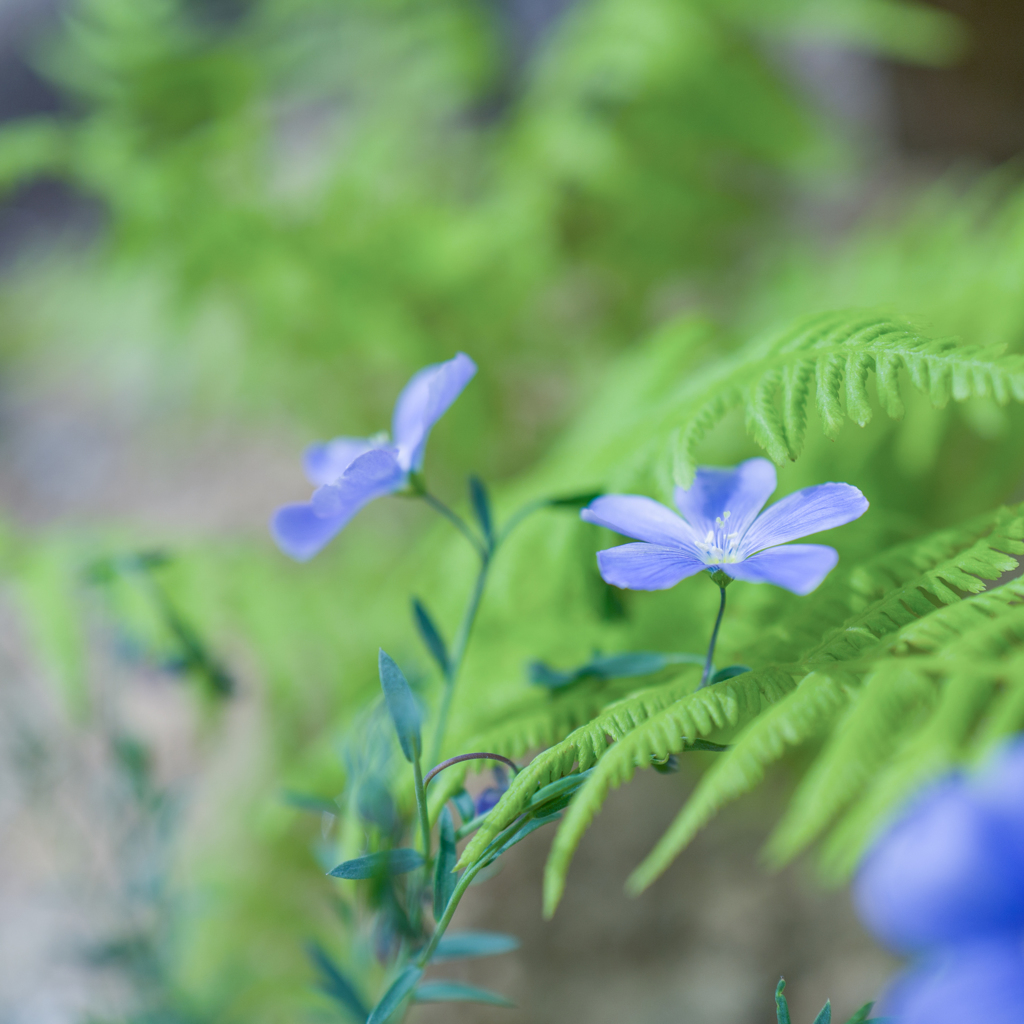 “あじさい”gardenにて・・・#6