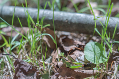 2025/09/22 あら・・・♥