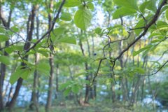 2025/10/03 ひと粒1・・・♡