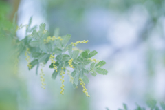 気まぐれな恋・・・♡