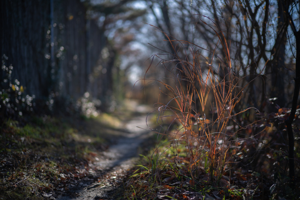 2025/11/29 冬陽・・・♡