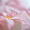 思いやり・・・♡