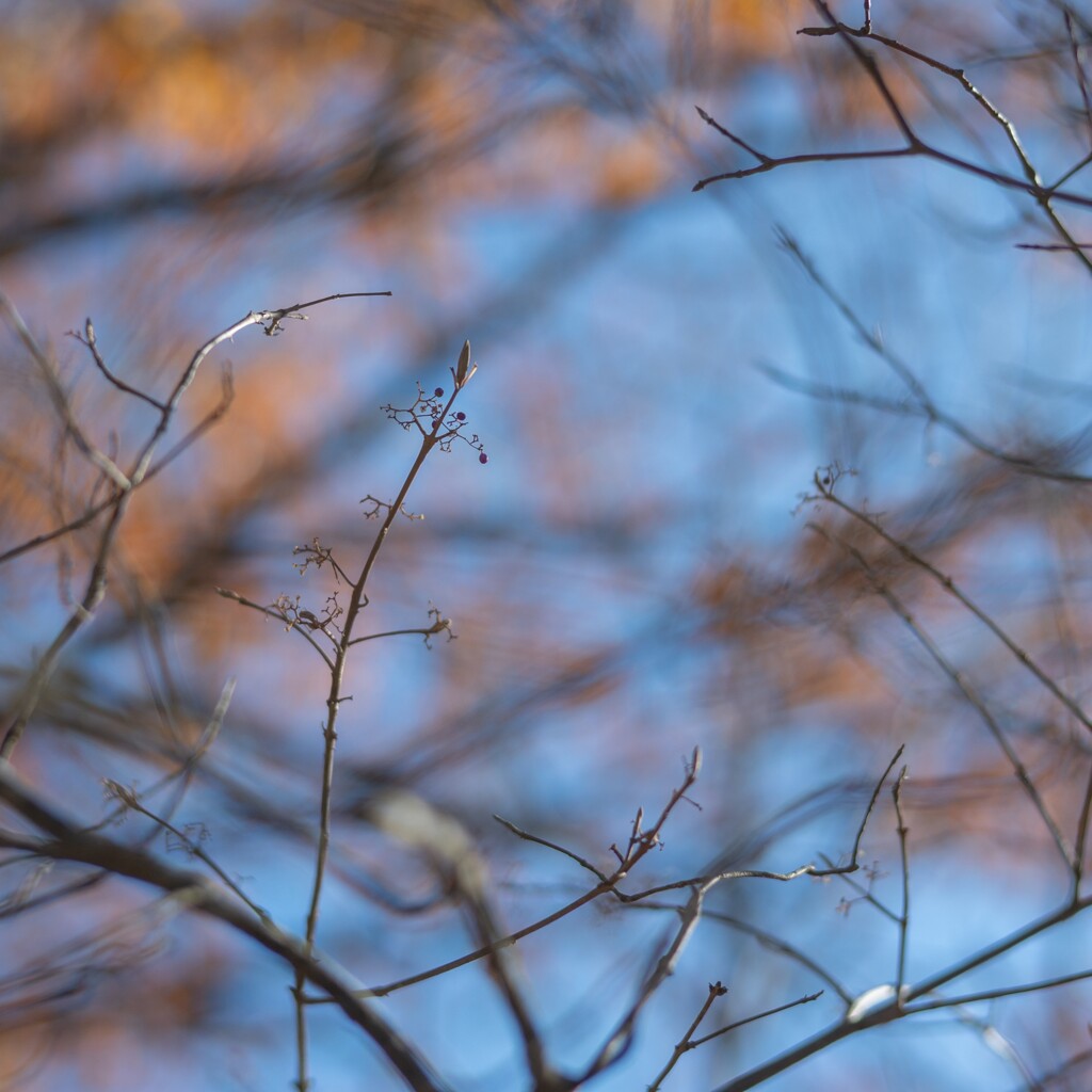 2025/11/22 豊作祈願・・・♡