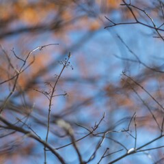 2025/11/22 豊作祈願・・・♡