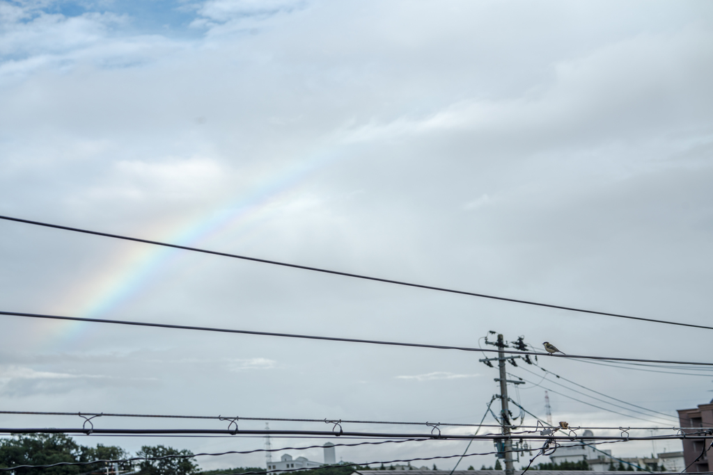 台風一過・・・♪