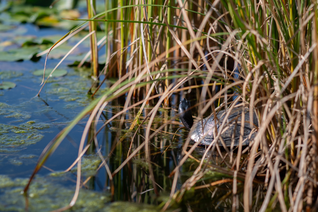 2025/10/15 気になる～⁈