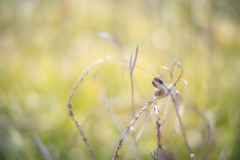 2025/11/19 結わえて・・・♡