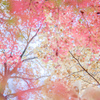 20211112 自然への愛・・・♡