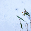 20220103 雪原 objet・・・♡